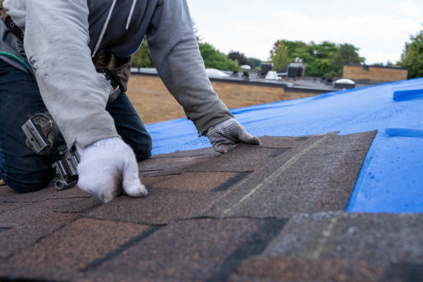 Roof Gutter Cleaning in Crandon, WI